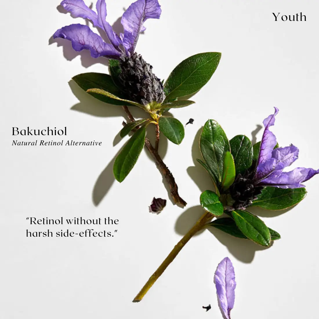 Youth - Bakuchiol Serum - Natural Retinol Alternative